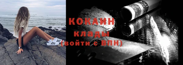 стафф Арсеньев