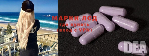 стафф Арсеньев