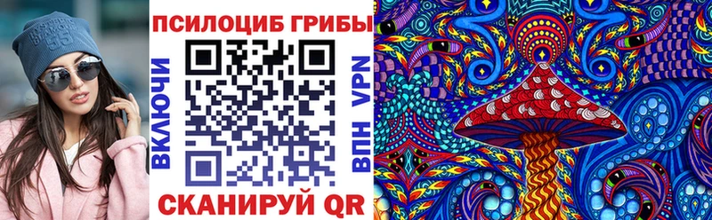 хочу   Приморск  Галлюциногенные грибы GOLDEN TEACHER 